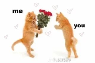 💋