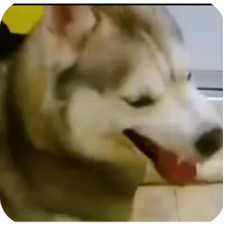 👍