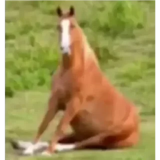😶