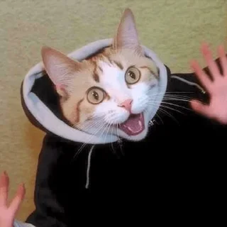 😄