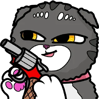 😾