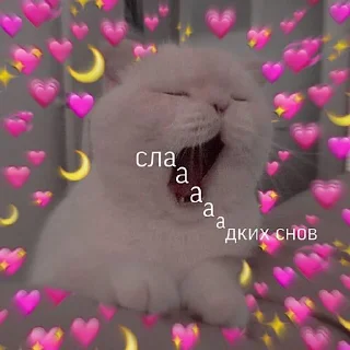😴