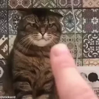 😡