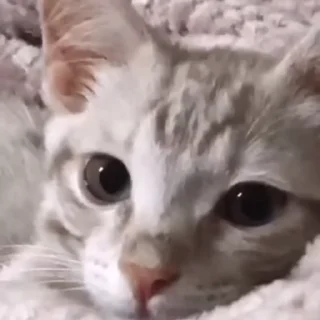 👀