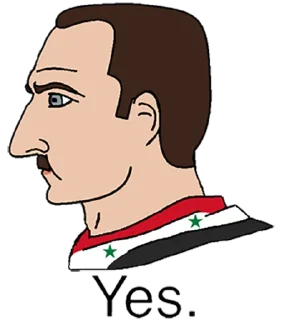 🇸🇾