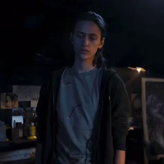 🕷️