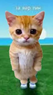 🤩