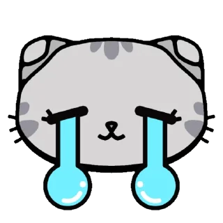 😿