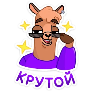 😎