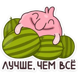 🍉