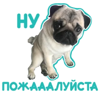 🙏