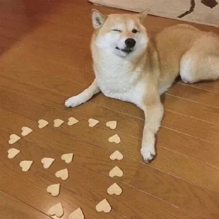 ❤️