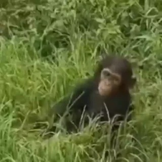 😂