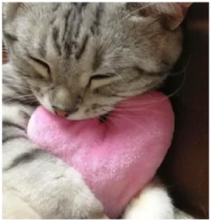 💋