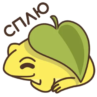 😴