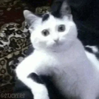 🥸