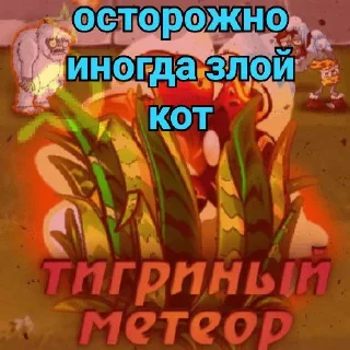 🐈