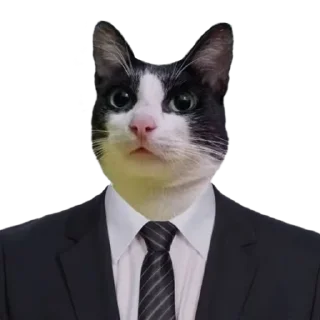 👨‍⚖️