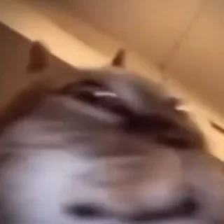 😡