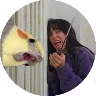 🔪