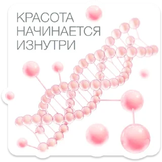 HN_Collagen