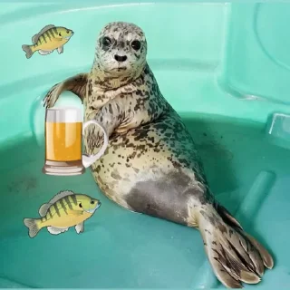 🍺