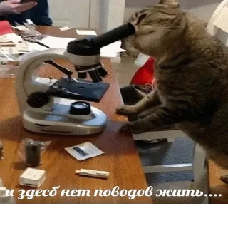 😥