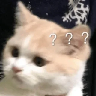 🤔