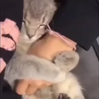 🥺