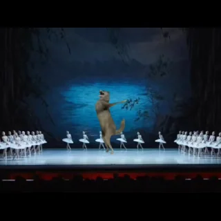 🐺