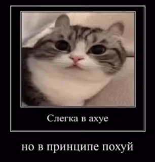 🥱
