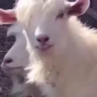 😁