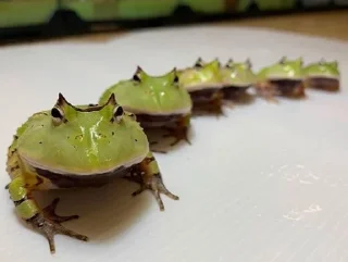 👨‍👩‍👧‍👦