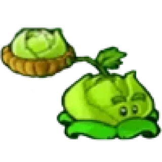 🥬