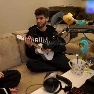 🎸