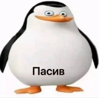 🤪