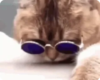 🫣