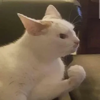 🤬