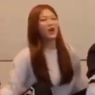 🐱