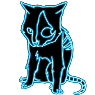 🐈‍⬛
