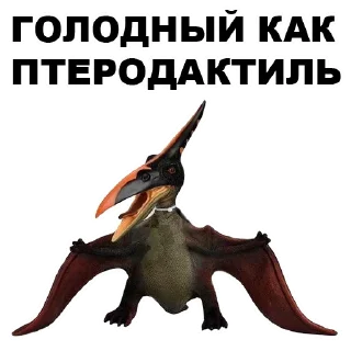 🤚