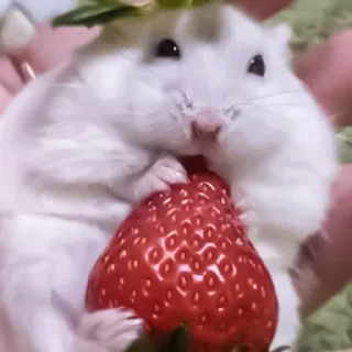 😵