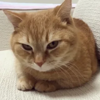 😒