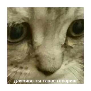🥺