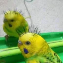 😄