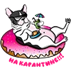 Карантин