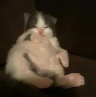 🎀
