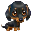 🐶