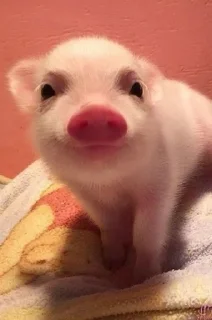 😊