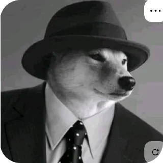 🎩